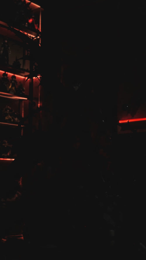 Anti-Magic Mist Figure mist reveal video
